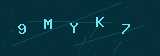 Güvenlik kodu